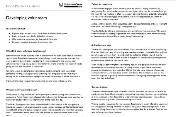 Snippet of Developing Volunteers