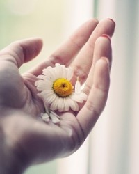 hand and flower