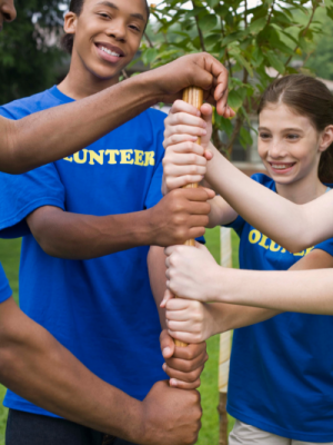 Volunteer Stock 8